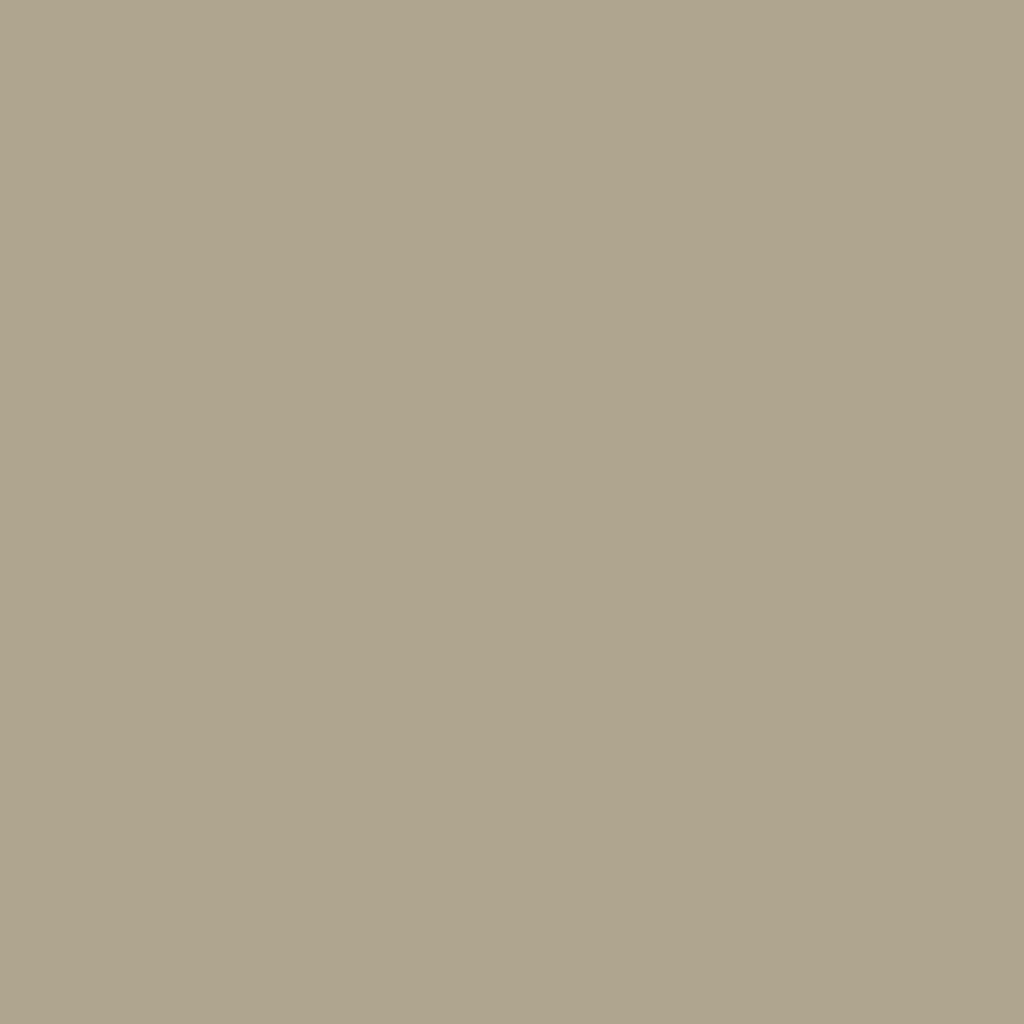 AC-7 Adobe Beige - Paint Color